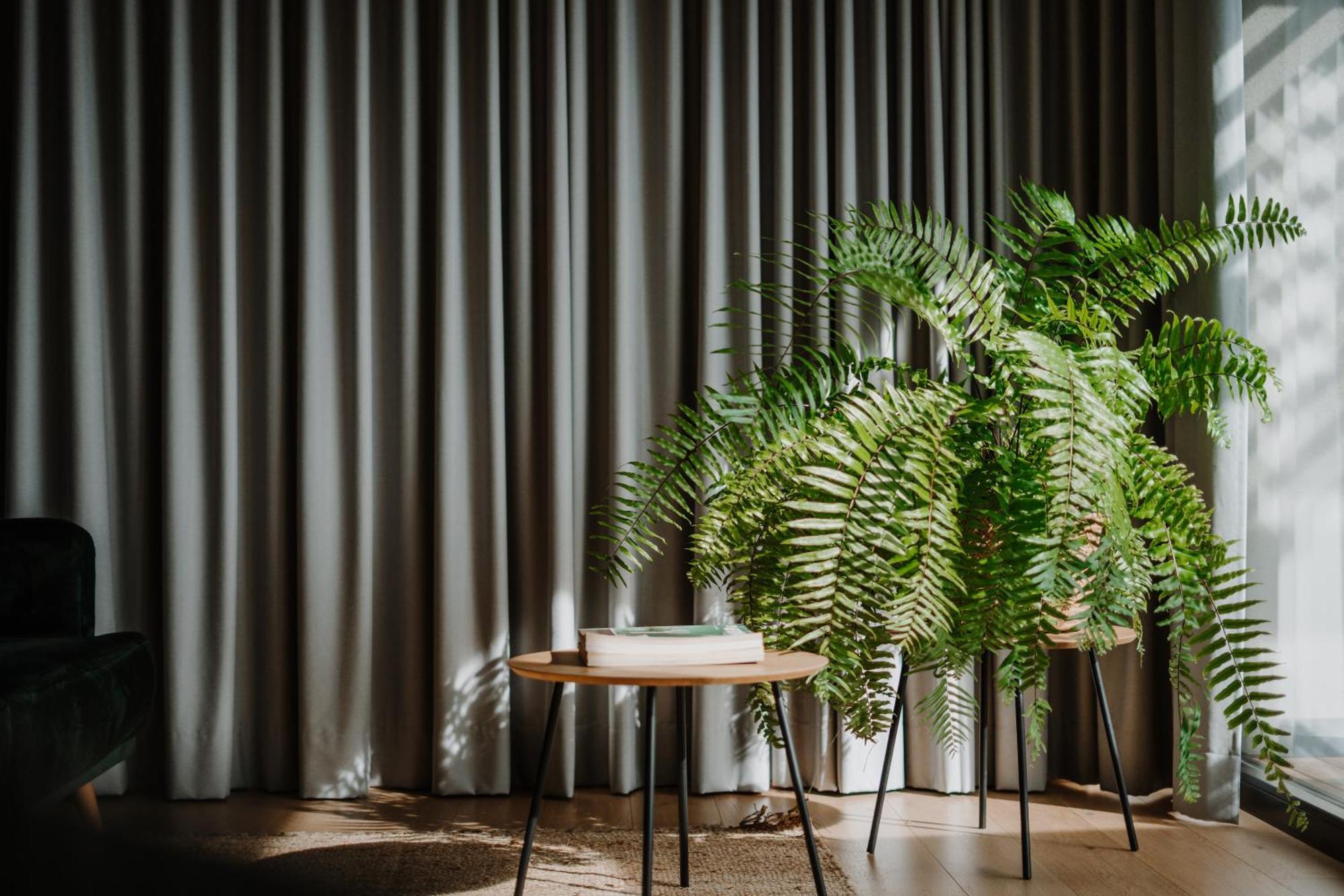 Farnhaus Apartment Tirolo Luaran gambar